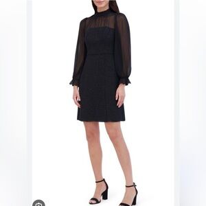 Eliza J Elegant Black Dress with Sheer Sleeves